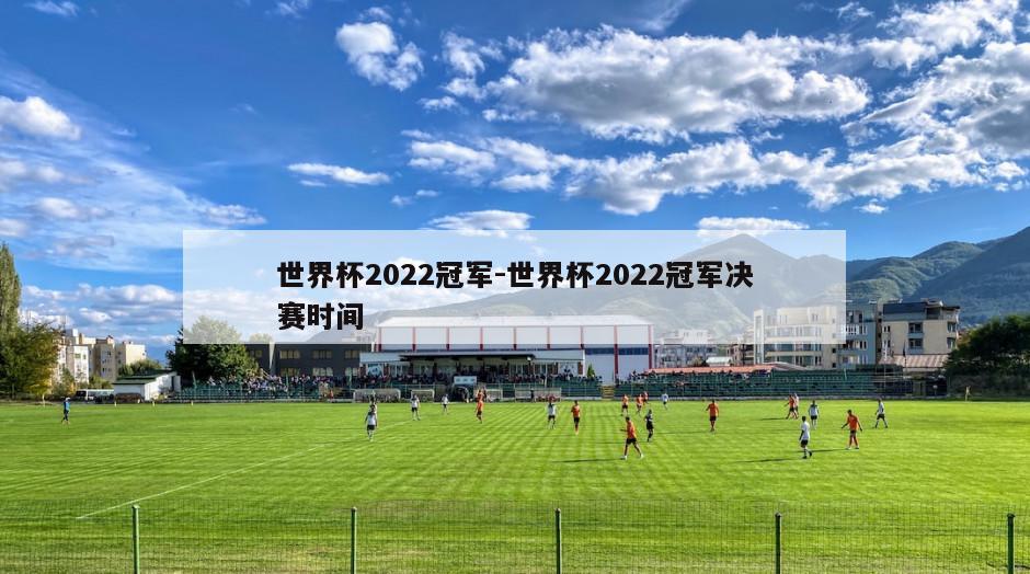 世界杯2022冠军-世界杯2022冠军决赛时间