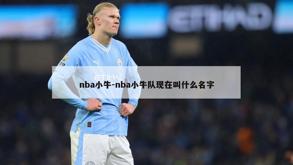 nba小牛-nba小牛队现在叫什么名字